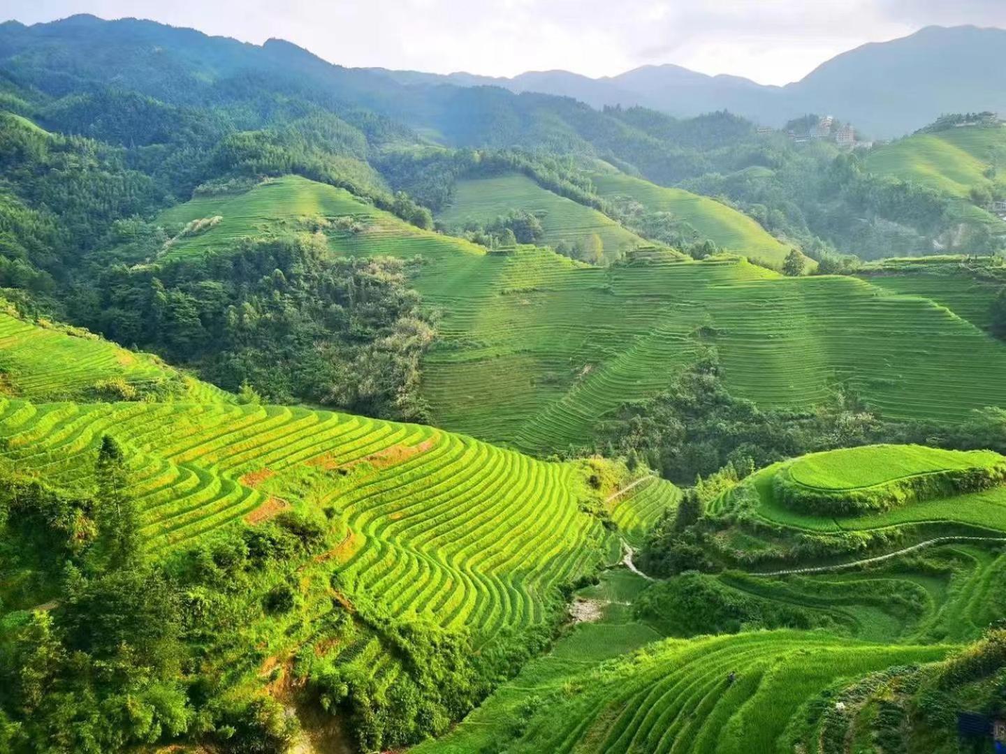 Longji Terrace La Vie Inn หลงเซิง ภายนอก รูปภาพ