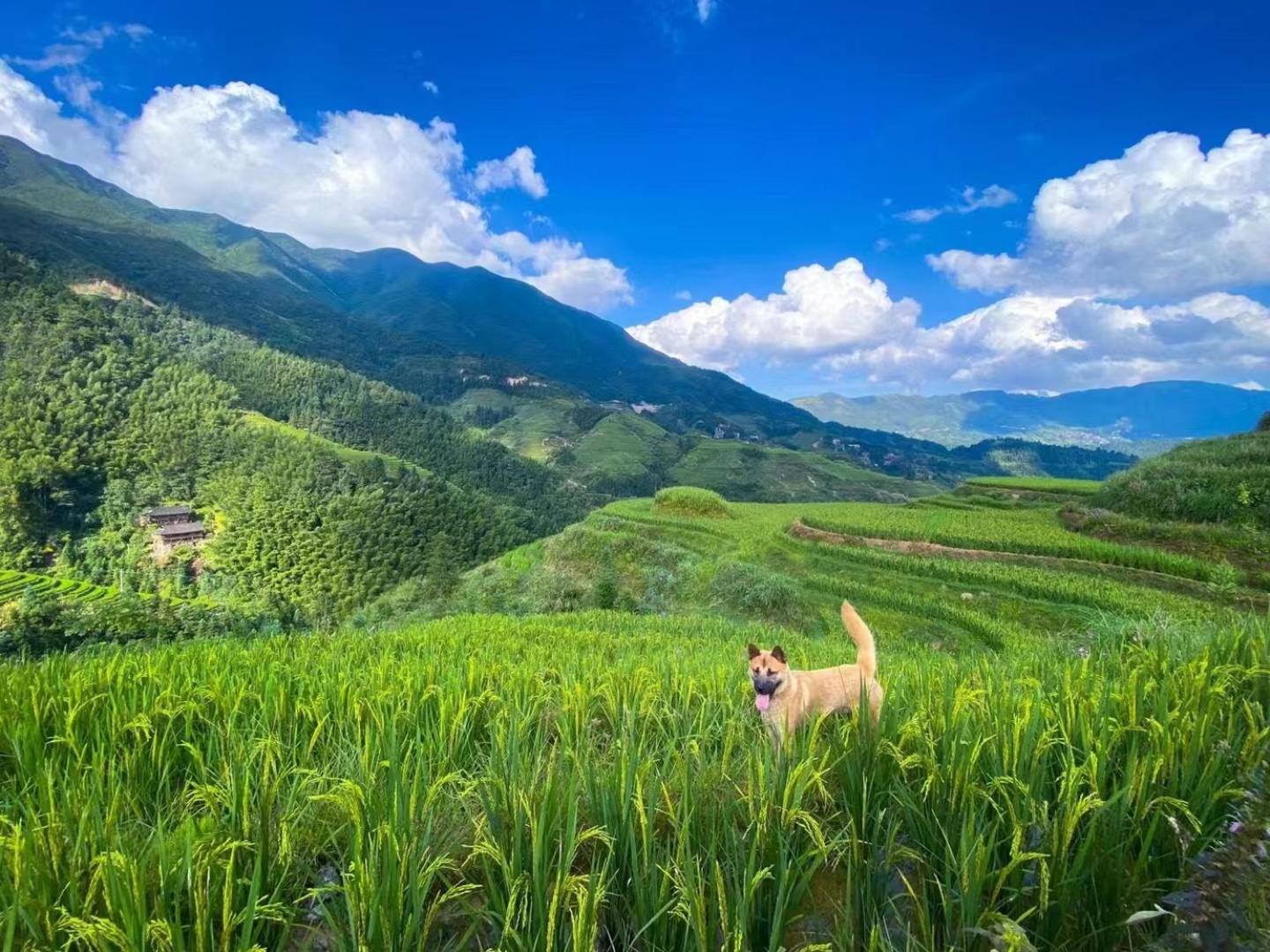 Longji Terrace La Vie Inn หลงเซิง ภายนอก รูปภาพ